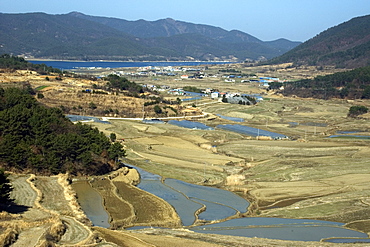 Rice fields dominate the valleys in South Korea's interior, South Korea, Asia