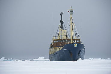 boat, cruise. tourists, arctic sheet ice. Longyearbyen, Svalbard, Norway