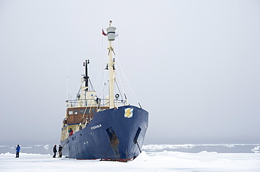 boat, cruise. tourists, arctic sheet ice. Longyearbyen, Svalbard, Norway