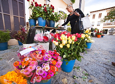 Local plants and flowers, Sunday morning markets. Pollenca, Tramuntana, Mallorca, Spain, Europe