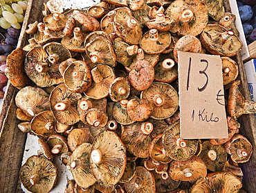 Mushrooms, Sunday morning markets. Pollenca, Tramuntana, Mallorca, Spain, Europe