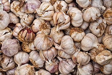 Fresh local garlic, Sunday morning markets. Pollenca, Tramuntana, Mallorca, Spain, Europe