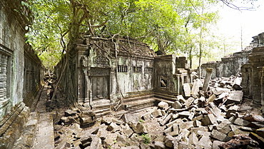 Ta Prohm Temple, Angkor, UNESCO World Heritage Site, Siem Reap, Cambodia, Indochina, Southeast Asia, Asia 