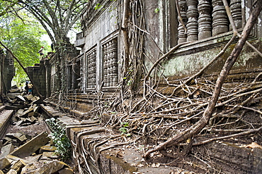 Ta Prohm Temple, Angkor, UNESCO World Heritage Site, Siem Reap, Cambodia, Indochina, Southeast Asia, Asia 