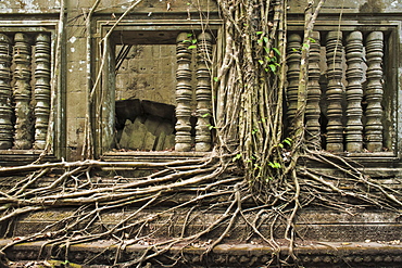 Ta Prohm Temple, Angkor, UNESCO World Heritage Site, Siem Reap, Cambodia, Indochina, Southeast Asia, Asia
