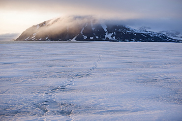 Pack Ice, Sheet Ice, Arctic. Longyearbyen, Svalbard, Norway