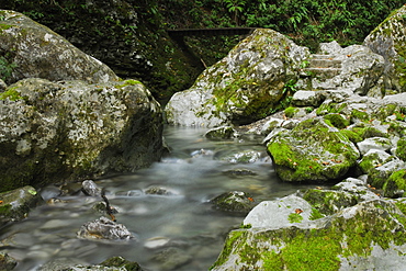 Walking trail, moss rocks, water, tribute, stream. Koberjan, Slovenia