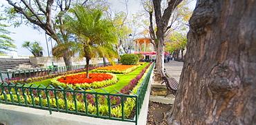 Plaza de la Constition, 08/04/2009, town square with gardens. Santa Cruz, La Orotava (world heritage site), Tenerife Island. Canary Islands