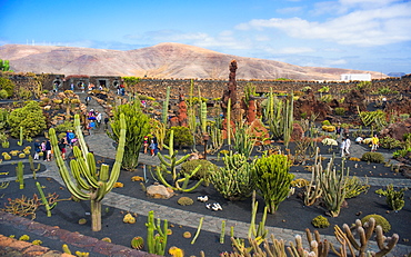 Jardin de Cactus (Cactus Garden) created by CÃ©sar Manrique. Arrecife, Jardin De Cactus, Cactus Garden, Lanzarote. Canary Islands