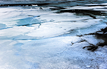 Ice sheets. Petropavlovsk, Kamchatka, Russia