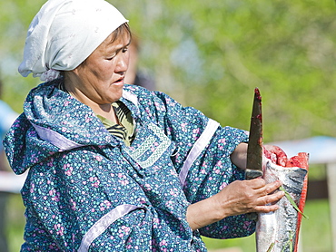 Inuit Female of the Koryaks peoples in native clothes, filleting salmon fish, Ossora Village (Koryakskiy Peninsular) Russia, Asia