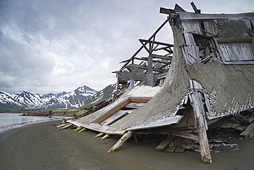 Abandoned Herring fishing settlement, tsunami damage, building debris, Landscape view of snow caped mountains, Yuzhnaya Glybokaya Bay (Bering Sea) Russia, Asia