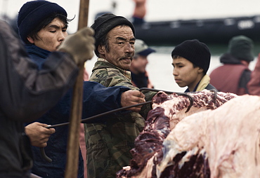 Inuit Settlement with locals cutting large slabs of whale meat from a freshly caught Grey whale, Lorino Village (Chukotskiy Peninsular) Russia, Asia.