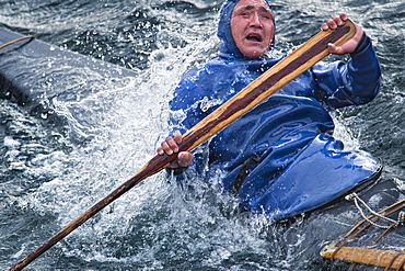 Local Inuit performing Kayak demonstration in arctic water. Sisimiut, Holsteinsborg, Qeqqata Municipality, Greenland (Denmark), North America