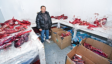 Local Inuit man, in freezer house. Kangiqsujuaq, Quebec, Nunavik, Canada, North America  .Everything from Arctic Char (fish) to Reindeer, Polarbear and whale meat is stored in the freezer house, in which certain town members can access and store hunted foods and skins. 