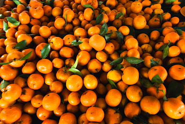 tangerines, Local Markets. Kuching, Sarawak, Borneo, Malaysia, South-East Asia, Asia