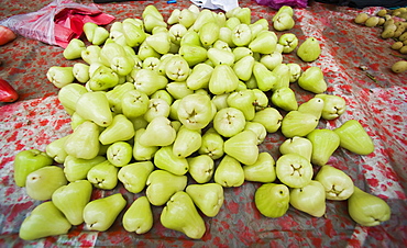 Wax Apples (Syzygium samarangense), multiple, sold at market.  Kota Kinabalu, Sabah, Borneo, Asia