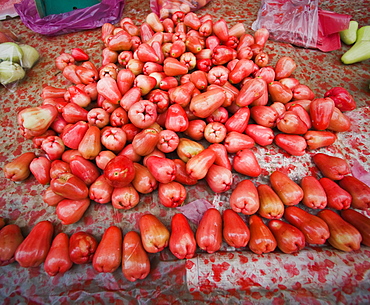 Wax Apples (Syzygium samarangense), multiple, sold at market.  Kota Kinabalu, Sabah, Borneo, Asia