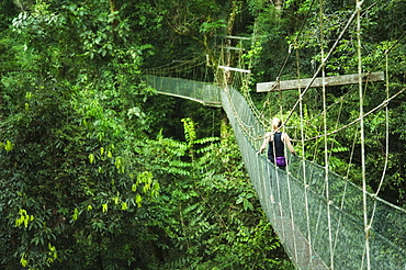 Single Female on Canopy Sky Walk, Mulu National Park, Sarawak, Borneo, Malaysia