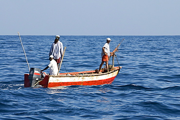 Whale hunters. Note the typically small boat and home made harpoon- an adapted rifle. Eastern Caribbean