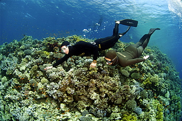 Sara Campbell world Champion freediver running freediving courses in Dahab. Egypt.