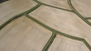 views of fields. Devon, UK