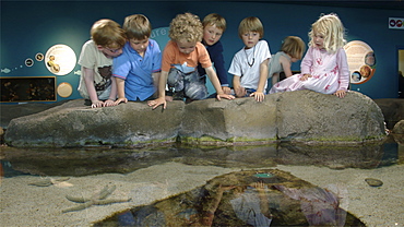 Children at the touch pools .Plymouth Devon . UK