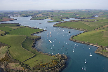 Salcolmbe on the Kingsbridge Estuary. Devon. UK 