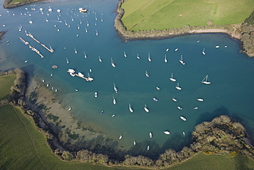 Salcolmbe on the Kingsbridge Estuary. Devon. UK 