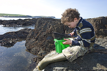 7 year old boy rockpooling in Devon. UK