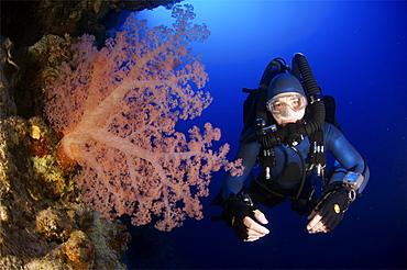 Mixed gas rebreather diver with soft coral.  Red Sea.