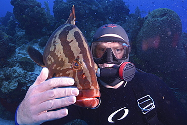 Diver with local tame grouper in Turks and Caicos, West Indies, Caribbean, Central America