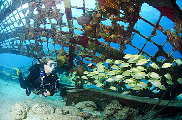 Diver inside the Thunderdome in Turks and Caicos, West Indies, Caribbean, Central America