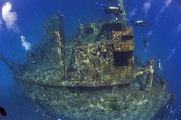 Diving the wreck of The Giannis D, Red Sea, Egypt, North Africa, Africa