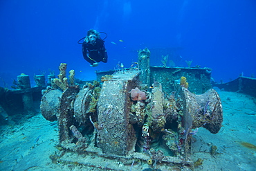 Wreck diving on the Hamel Wreck in Bahamas, West Indies, Central America