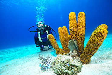 Pensioner enjoying a dive on the reef, Turks and Caicos, West Indies, Central America