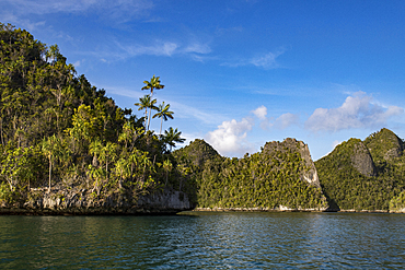 Karst limestone formations in Wayag Island, Raja Ampat, West Papua, Indonesia, Southeast Asia, Asia