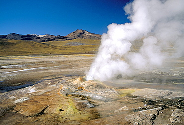 El Tatio geyser, Atacama, Chile, South America