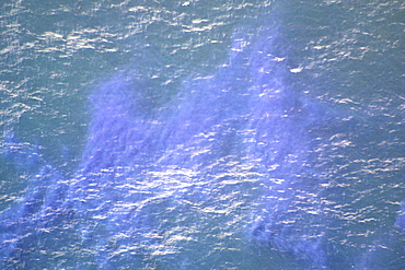 Aerial view of algae bloom. Great South Channel of Chatham, MA, USA  (rr)