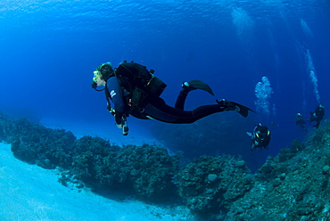 Diver on tropical coral reef and caverns, Maria La Gorda, Cuba, Caribbean