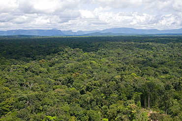 Aerial view over the rainforest of Guyana, South America