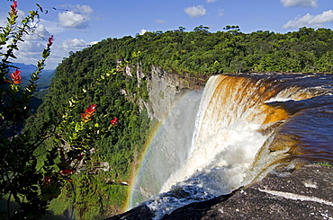 View across the rim of Kaieteur Falls, Guyana, South America