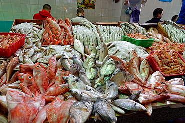 Freshly caught fish displayed in Tangier fish market, Tangier, Morocco, North Africa, Africa