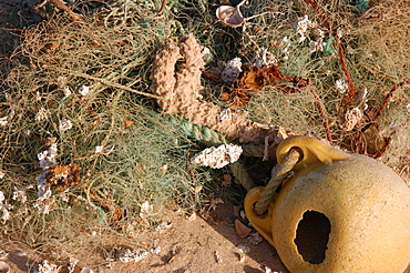 Fishing gear washed up on the beach, Southern Morocco   (RR)