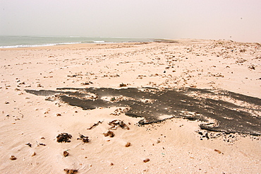 Weathered oil slick on beach, Southern Morocco   (RR)