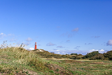 View towards Red Lighthouse, over sand dunes and heathland, Schiermonnikoog, West Frisian Islands, The Netherlands (Holland), Europe