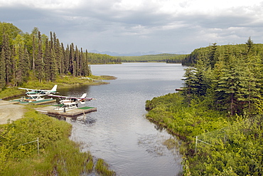 Two Boat Planes moored on an Alsakan Lake, surrounded by a  forrest.  The sky is heavy with cloud, good chance of rain.  Located in the Interior region of Alaska. The Interior, Alaska, USA