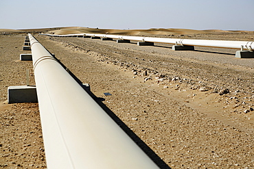 Crude Oil Line in the Qatari desert, Qatar, Middle East