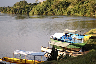 With such demands for Lake Victoria's Nile perch, the value of the fishery has risen considerably. Labour inflows into the fishery have increased along with growing demand. In 2004, there were 51,712, boats on the lake and 153,066 fishermen. Jinja, Uganda, East Africa