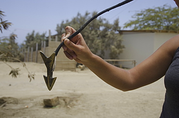 Harpoon and buoy used to harpoon and tire out giant manta rays, Peru, South America